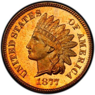 coin-img-1