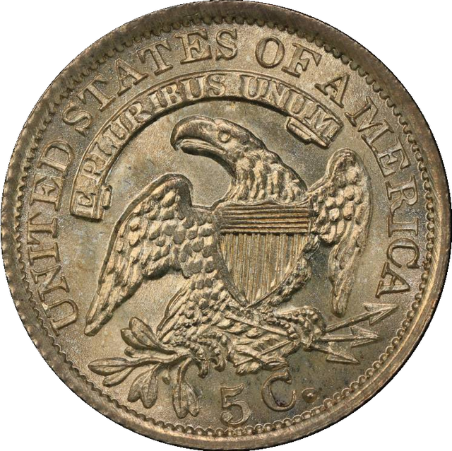 coin preview img index-2