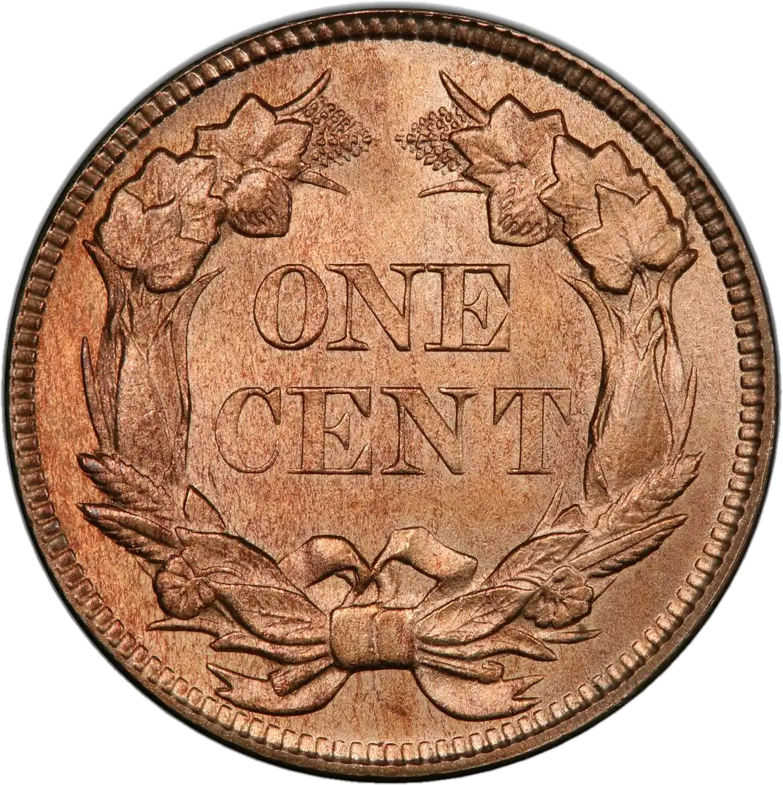 coin reverse image