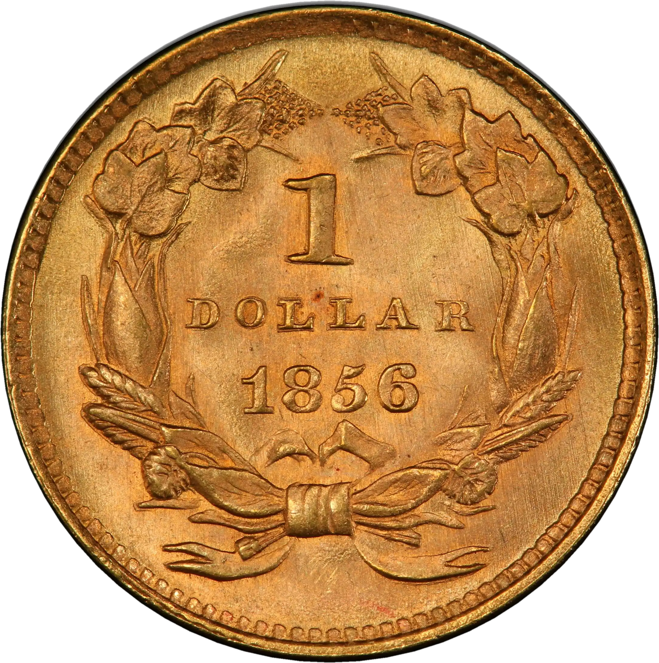 coin reverse image